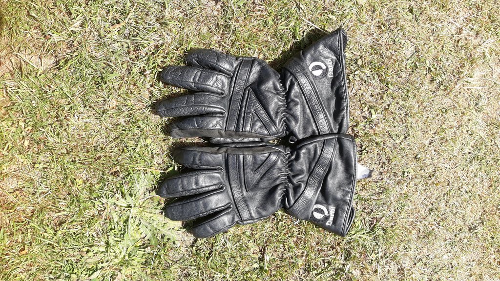 /blog/images/a1grt/Darbi Gloves.jpg